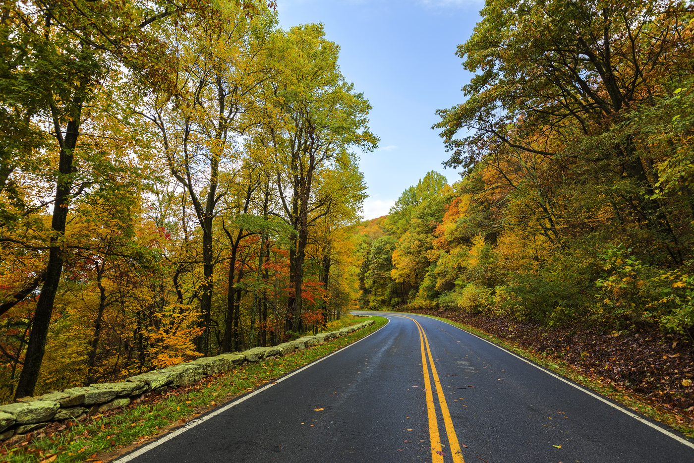 Shenandoah & Skyline Drive